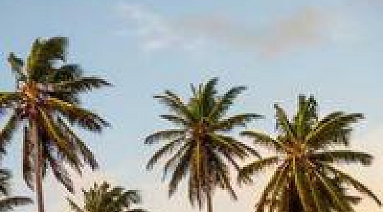 image_course_preview